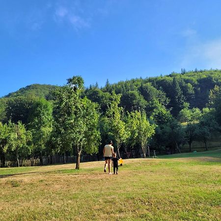 Cabana Lui Foarda Villa Motru Sec Esterno foto