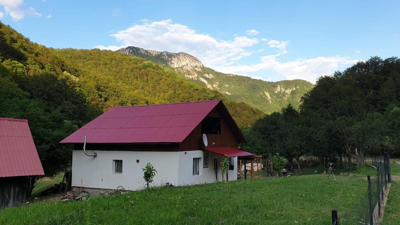 Cabana Lui Foarda Villa Motru Sec Esterno foto