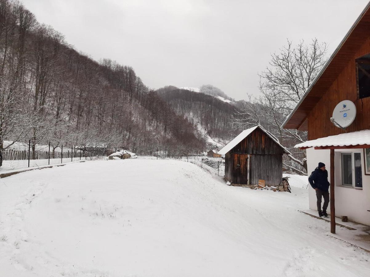 Cabana Lui Foarda Villa Motru Sec Esterno foto