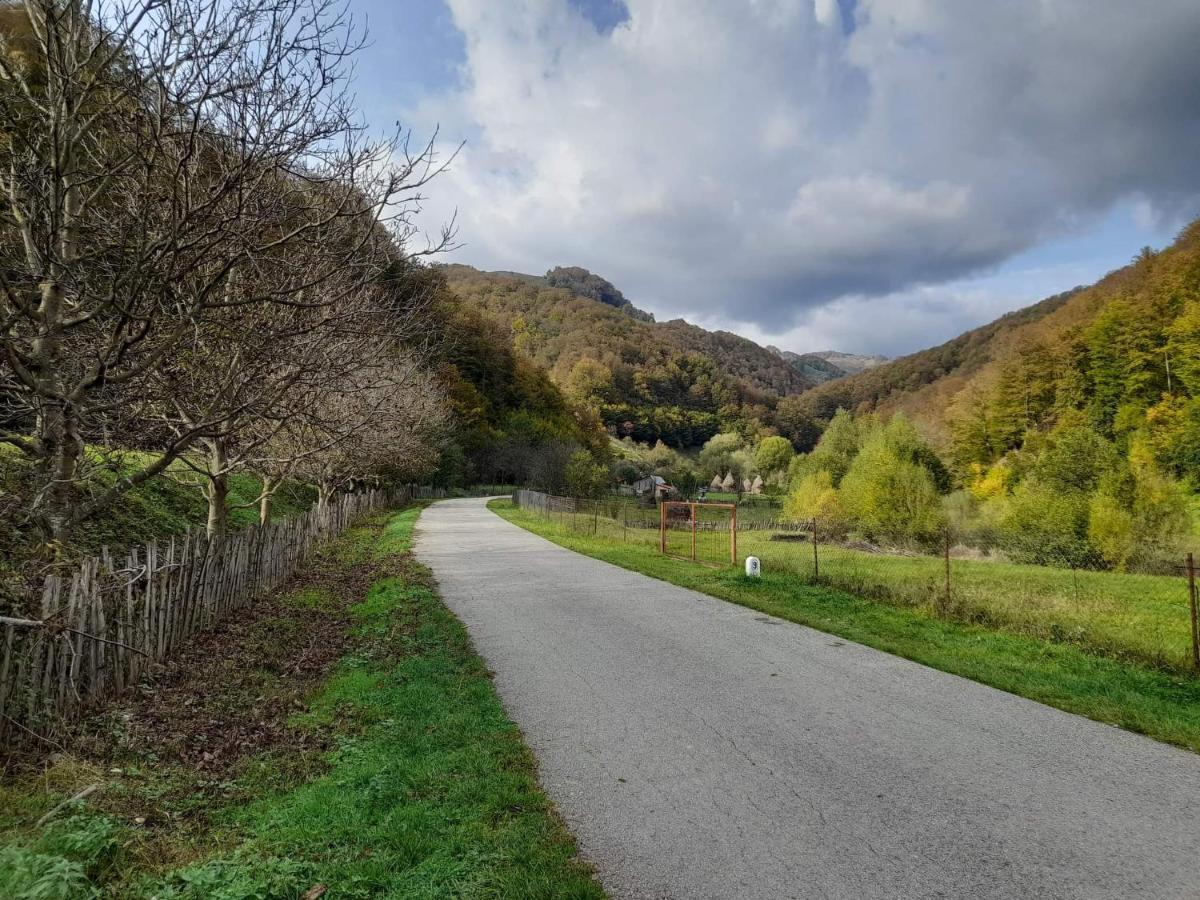 Cabana Lui Foarda Villa Motru Sec Esterno foto