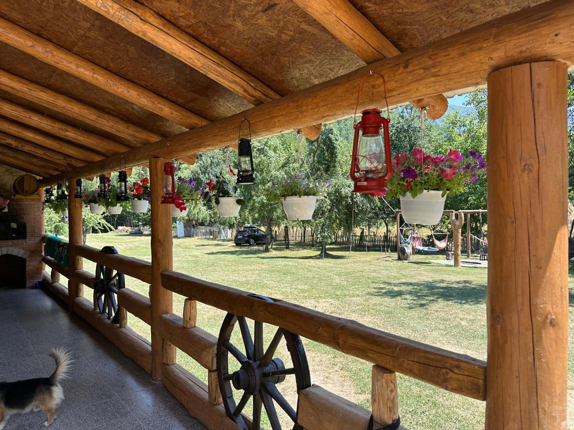 Cabana Lui Foarda Villa Motru Sec Esterno foto