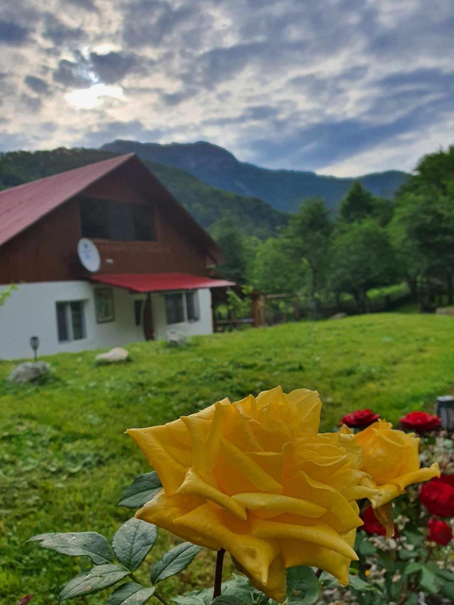 Cabana Lui Foarda Villa Motru Sec Esterno foto