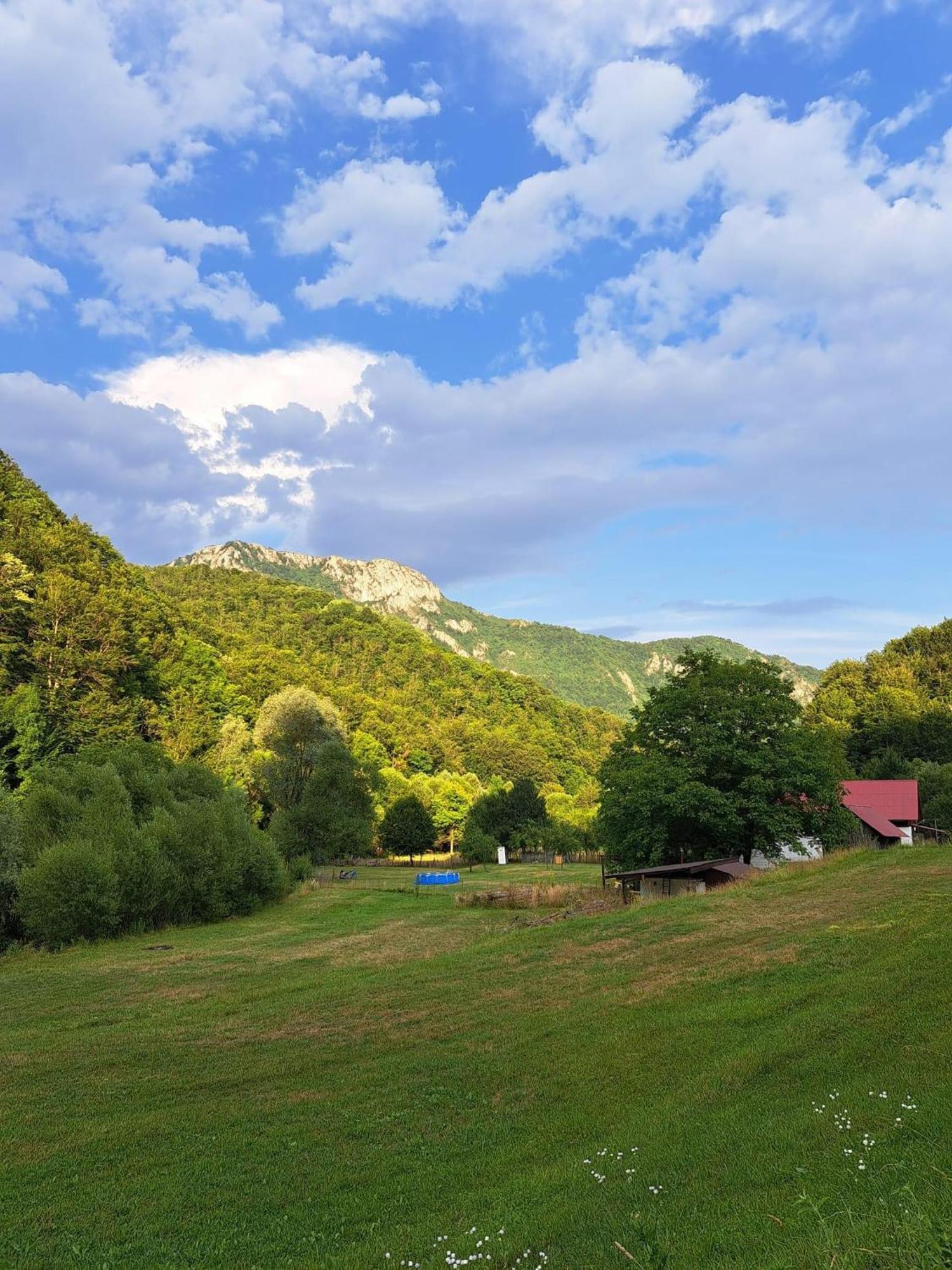 Cabana Lui Foarda Villa Motru Sec Esterno foto