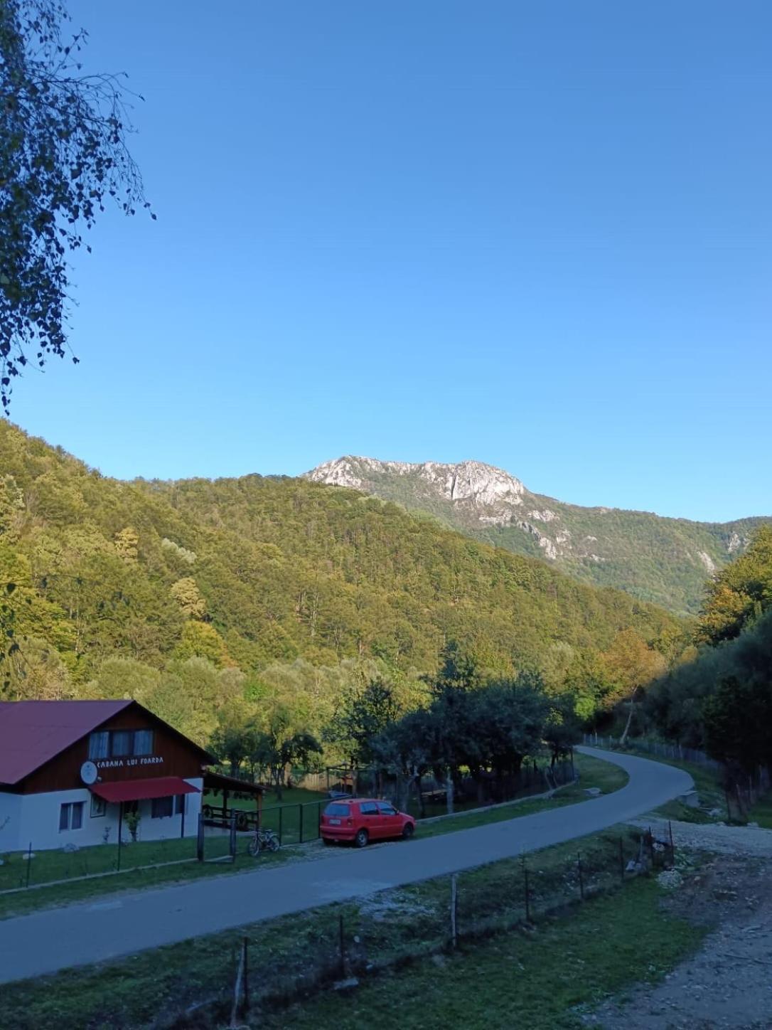 Cabana Lui Foarda Villa Motru Sec Esterno foto