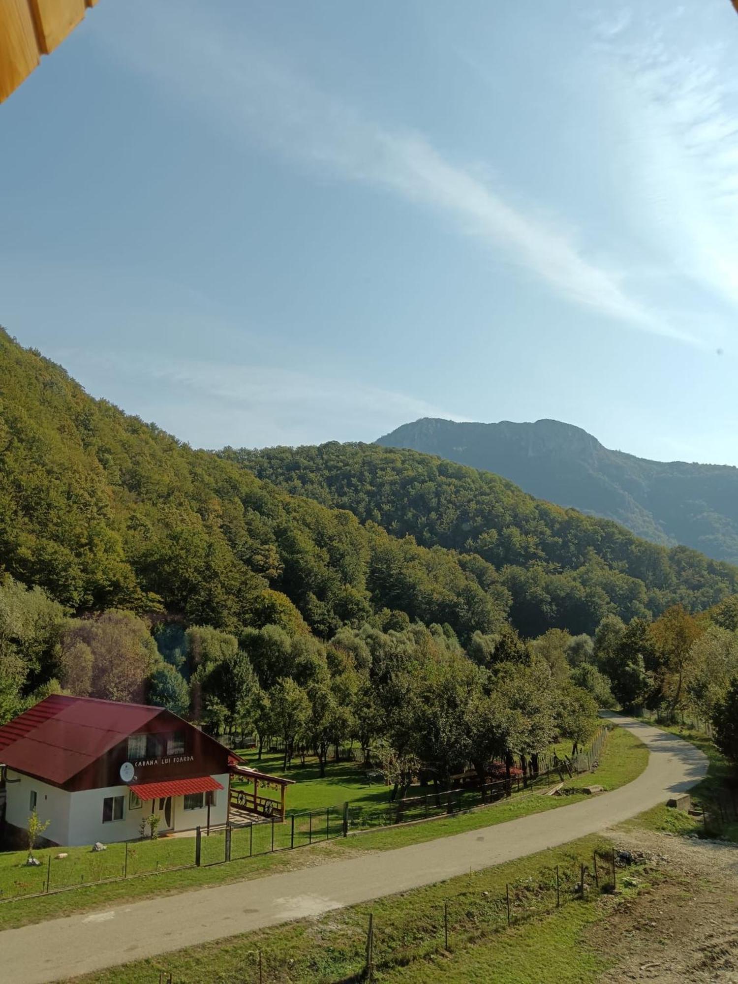 Cabana Lui Foarda Villa Motru Sec Esterno foto